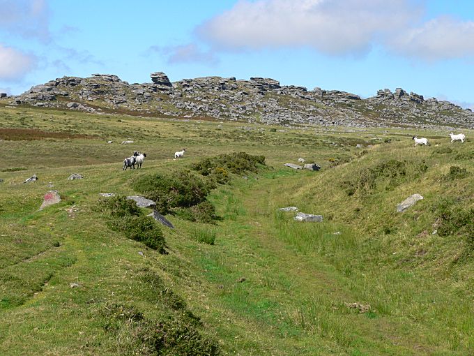 Kilmar Tor