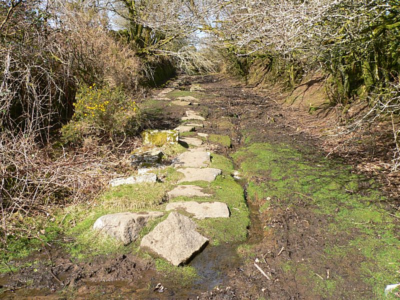 Liskeard & Caradon Railway Gonamena