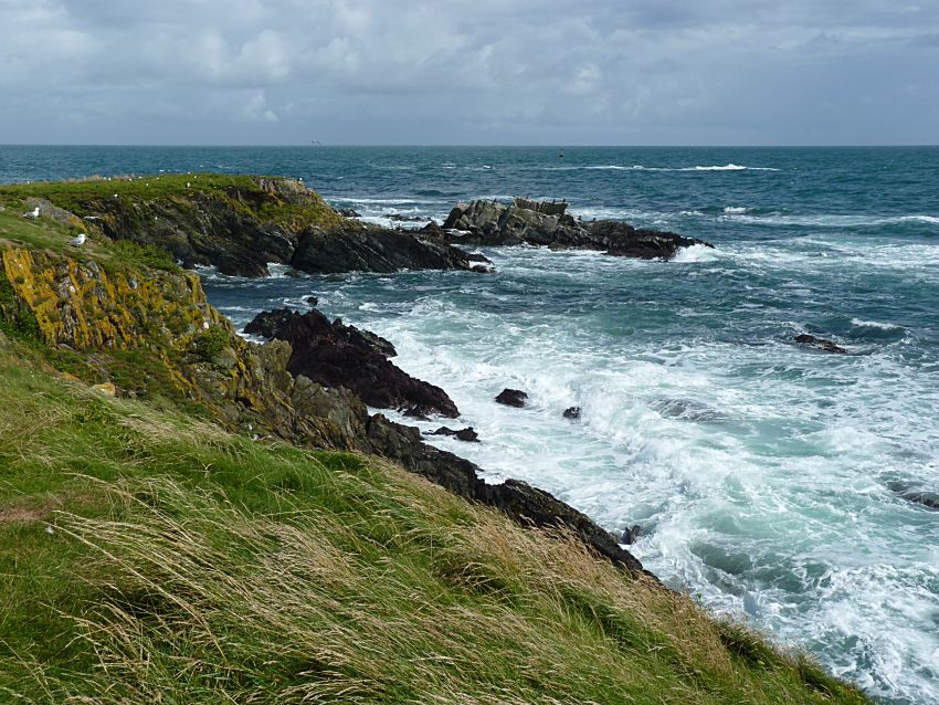 Visit to Looe Island
